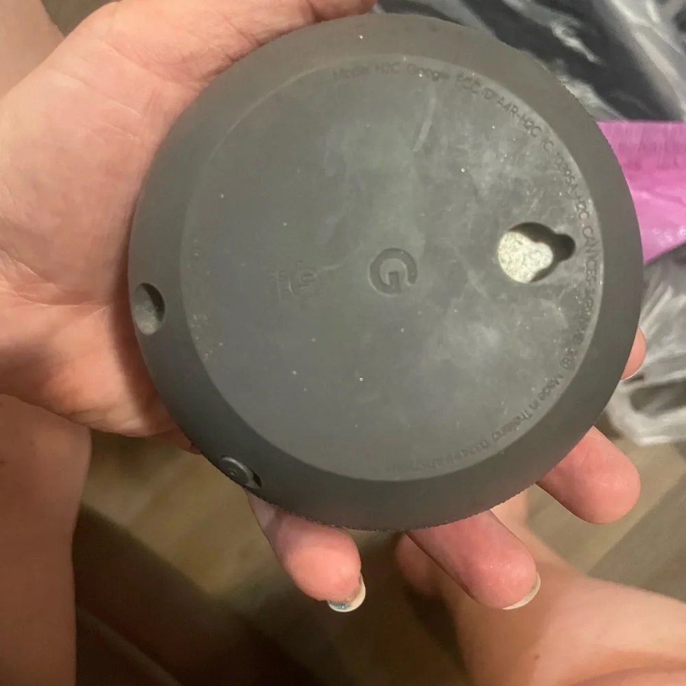 Google nest speaker